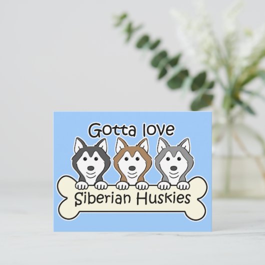 Drei sibirische Huskies Postkarte (Stehend Vorderseite)