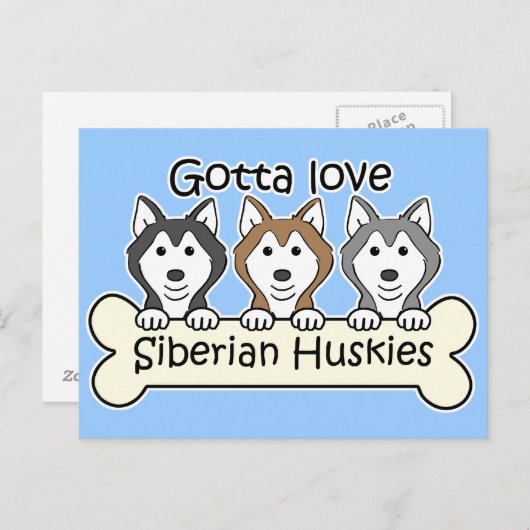 Drei sibirische Huskies Postkarte (Vorne/Hinten)