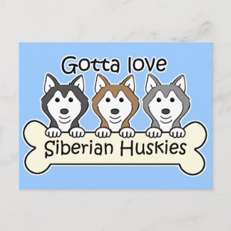 Drei sibirische Huskies Postkarte