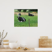 Drei-sitzende Kühe-Foto-Poster Poster (Küche)