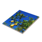 Drei sizilianische Zitronen Fliese (Seite)