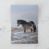 Drei Snowy Bachelors Grußkarte Dankeskarte (Innenseite)