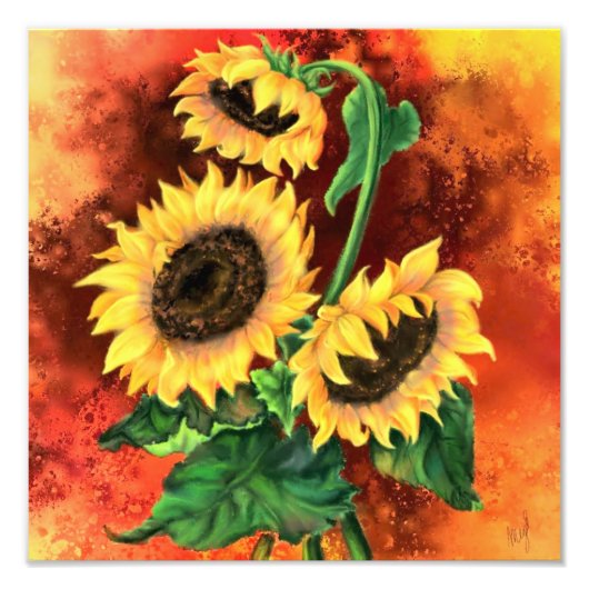 Drei Sonnenblumen Poster (Vorne)
