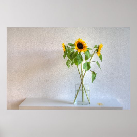 Drei Sonnenblumen Poster (Vorne)