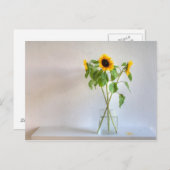 Drei Sonnenblumen Postkarte (Vorne/Hinten)