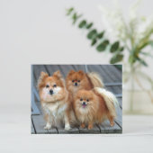 Drei Spitze Postkarte (Stehend Vorderseite)