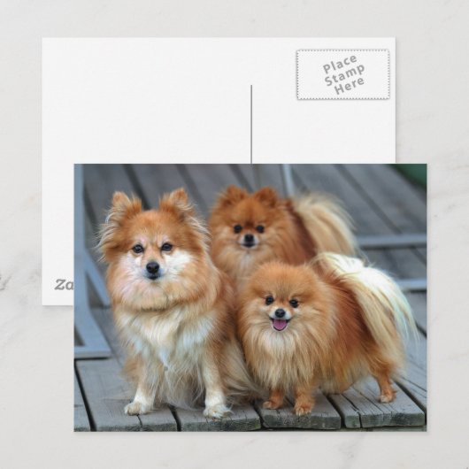 Drei Spitze Postkarte (Vorne/Hinten)