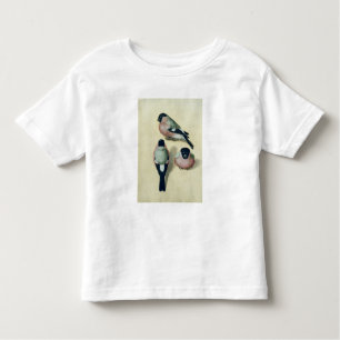 Drei Studien eines Bullfinch Kleinkind T-shirt