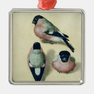 Drei Studien eines Bullfinch Ornament Aus Metall