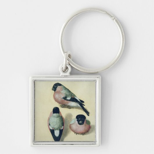 Drei Studien eines Bullfinch Schlüsselanhänger (Vorne)