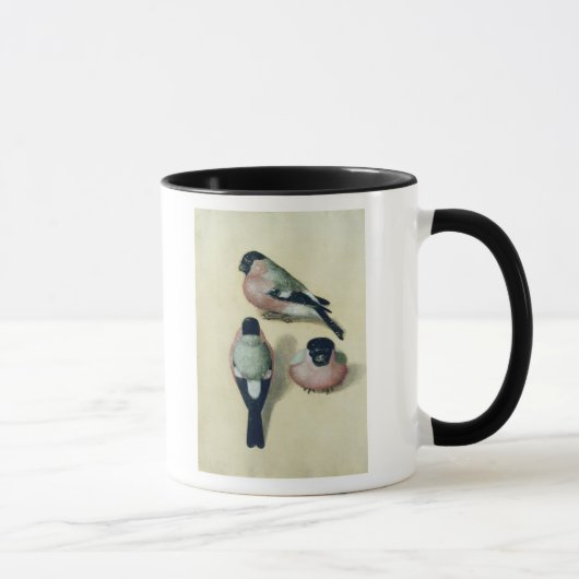 Drei Studien eines Bullfinch Tasse (Rechts)