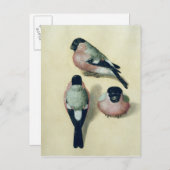 Drei Studien eines Stierkampfes Postkarte (Vorne/Hinten)