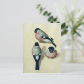 Drei Studien eines Stierkampfes Postkarte (Stehend Vorderseite)