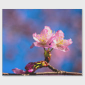 Drei Sunlit Sakura Blume Geschenkpapier (Flach)