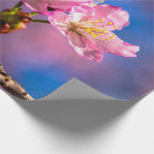 Drei Sunlit Sakura Blume Geschenkpapier (Ecke)