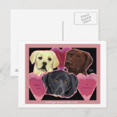 Drei süße Labrador Postkarte (Vorne/Hinten)