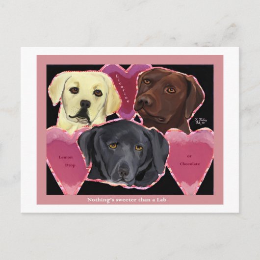 Drei süße Labrador Postkarte (Vorderseite)