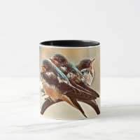 Drei süße Schwalben