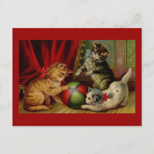 Drei Tabby-Katzen und Ball Postkarte