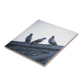 Drei Tauben auf einem Dach Fliese (Seite)