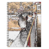 Drei Tauben Notizblock (Vorderseite)