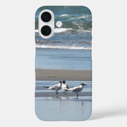 Drei Terns am Strand Case-Mate iPhone Hülle (Rückseite)
