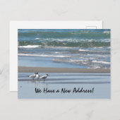 Drei Terns am Strand Postkarte (Vorne/Hinten)