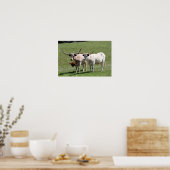 Drei Texas Longhorns Poster (Küche)