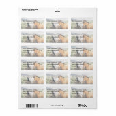 Drei Themenbereiche, Island, braun, weiß und schwa Adressaufkleber (Vorne)