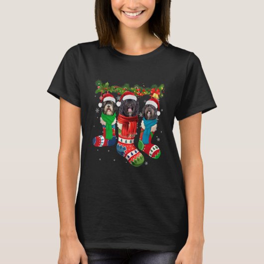Drei tibetische Terrier in Weihnachtssocken T-Shirt (Vorderseite)