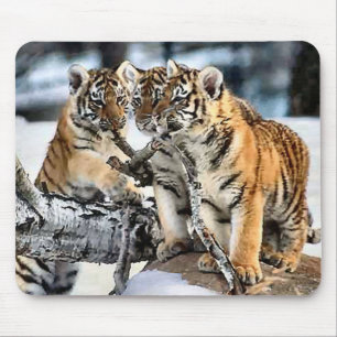 Drei Tiger CUB in den Schnee-Kunst-Geschenken Mousepad