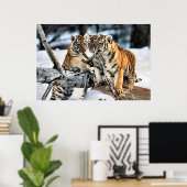 Drei Tiger-Cubs beim Spielen Poster (Heimbüro)