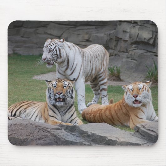 Drei Tiger Mousepad (Vorne)
