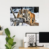 Drei Tigerclubs im Schnee Kunst Geschenke Poster (Heimbüro)
