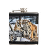 Drei Tigerjungen Flachmann (Vorderseite)