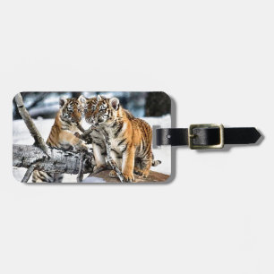 Drei Tigerjungen Gepäckanhänger