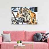 Drei Tigerjungen Leinwanddruck (Insitu (Wohnzimmer))