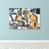 Drei Tigerjungen Leinwanddruck (Insitu (Holzboden))