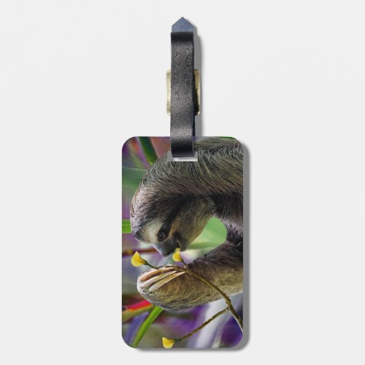 Drei-Toed Baum-Trägheit Gepäckanhänger (Rückseite vertikal)