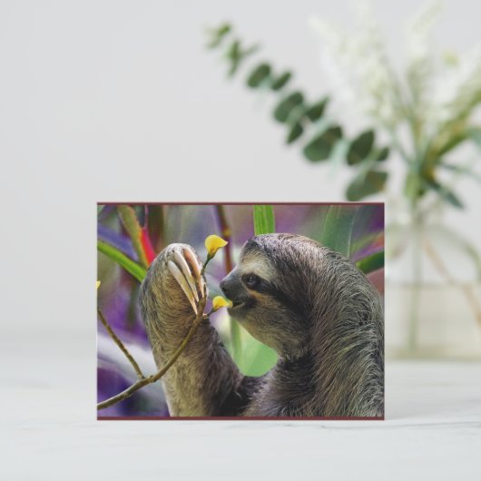 Drei-Toed Baum-Trägheit Postkarte (Stehend Vorderseite)