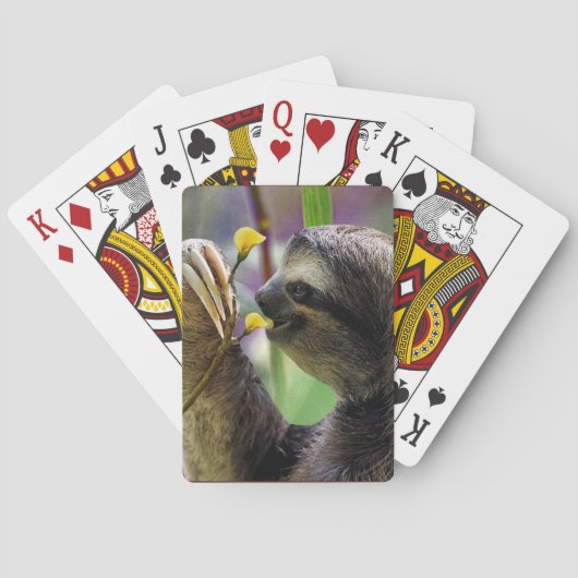 Drei-Toed Baum-Trägheit Spielkarten (Rückseite)