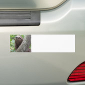 Drei Toed Sloth-Autoaufkleber Autoaufkleber (Auf Auto)