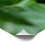 Drei Tornknospen Poster (Ecke)