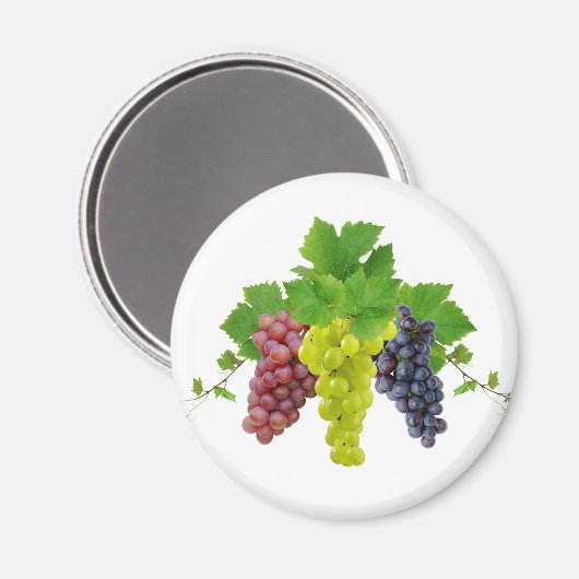 Drei Trauben Magnet (Vorderseite/Rückseite)