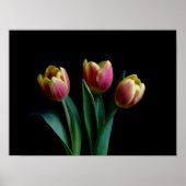 Drei Tulips Poster (Vorne)