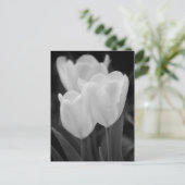 Drei Tulips Postkarte (Stehend Vorderseite)