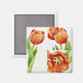 Drei Tulpenstudien im Jahr 2013 Magnet (Vorderseite/Rückseite)