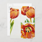 Drei Tulpestudien sicheren 2013 Postkarte (Vorne/Hinten)