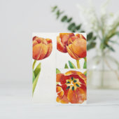 Drei Tulpestudien sicheren 2013 Postkarte (Stehend Vorderseite)