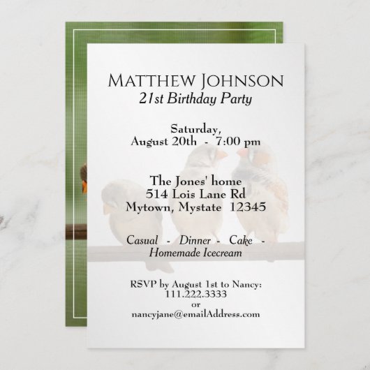 Drei Tweetend Finken TierVogelfotografie Einladung (Vorne/Hinten)